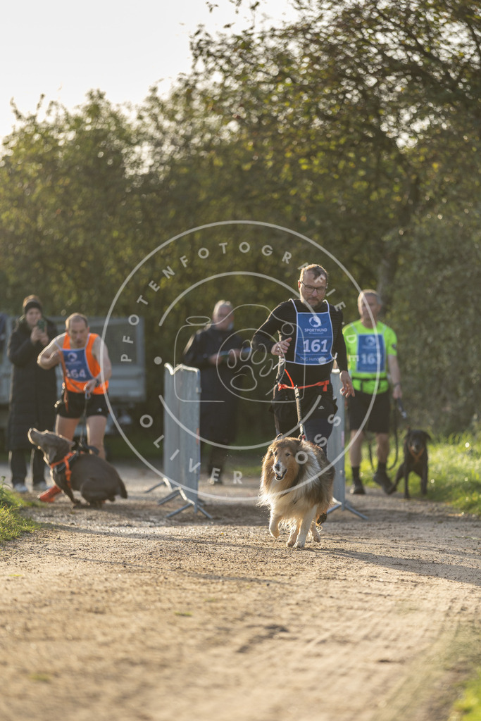 Pfotenfotografie.de_DV3A2664 | Hundefotografie, Tierfotograf, Pfotenfotografie, Fotoshooting Hund, Hunde Portrait, Hundesport, Hundeportraits, Heideshooting, Hunde, Sportfotograf, Hundefotograf, Turnierhundsport, THS, canicross - Realisiert mit Pictrs.com