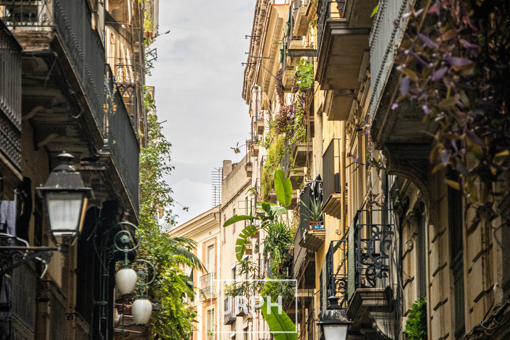 IMG_4162 | jrph - Realisiert mit Pictrs.com