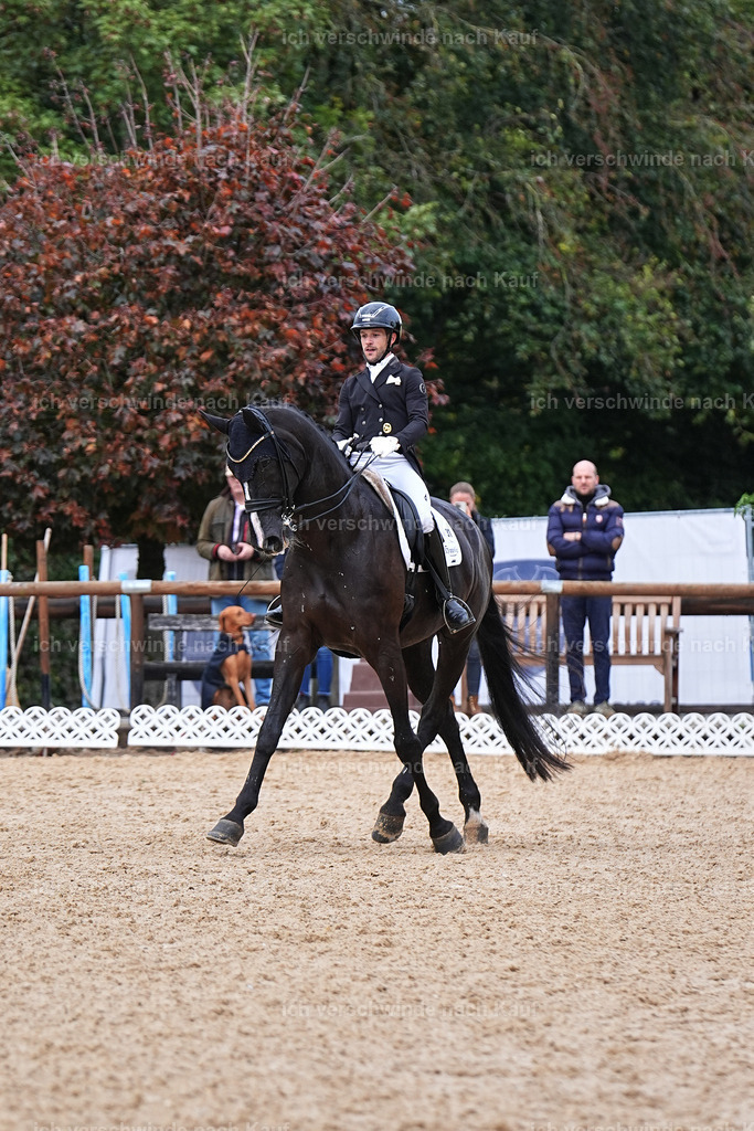 12-031-DRESSUR  S___  -Marixx-5225 | working equitationturnier fotograf videograf stoibphotography marixx film working equitation deutschland reitsport turnierfotografie eventfotografie equestrian events