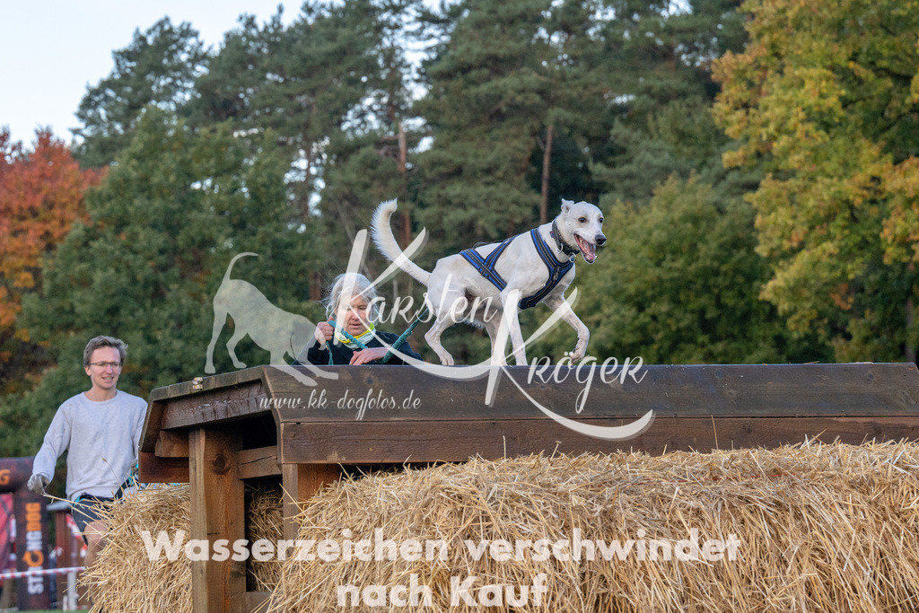 0848_ZZ91365 | kk-dogfotos