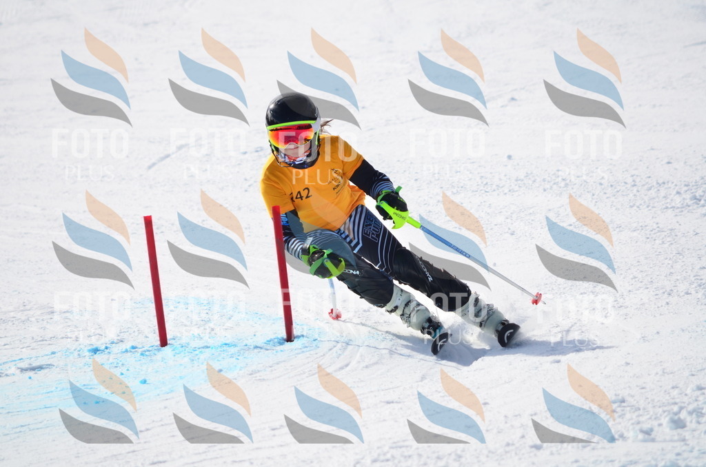 C8394 | holidayphoto