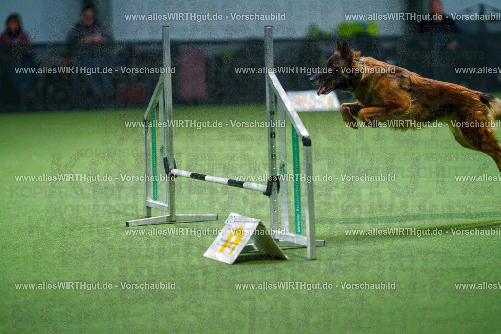 7R500940 | Professionelle Tierfotografie in Mönchengladbach von Daniel Wirth (allesWIRTHgut). Liebevolle & natürliche Bilder von Hunden & Katzen für unvergessliche Erinnerungen.