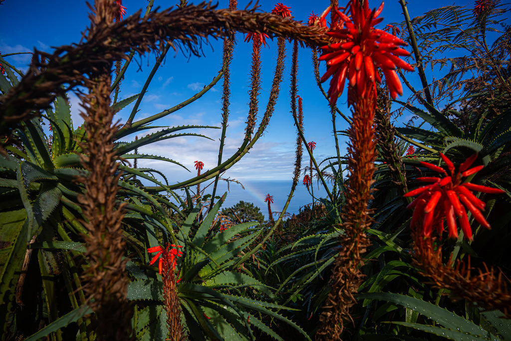 DSC05471 (5) | <meta name="keywords" content="Bergbilder, Hochzeitsfotografie, Actionshootings, Fotografiearbeiten, Berglandschaften, Naturfotografie">

 - Realisiert mit Pictrs.com
