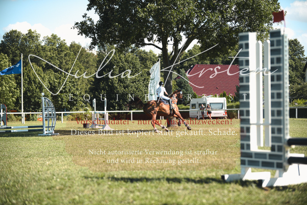 DSC_7614 | Pferde- und Turnierfotografie in Westsachsen. Pferdeportraits, Auftragszeichnungen und intuitive Kunst.