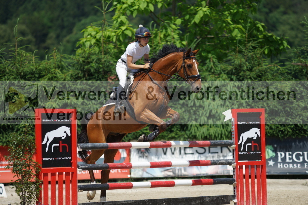 DSC00610 | equestrian-live-com