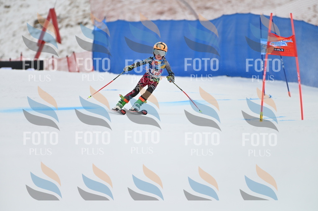 BGV_9772 | holidayphoto