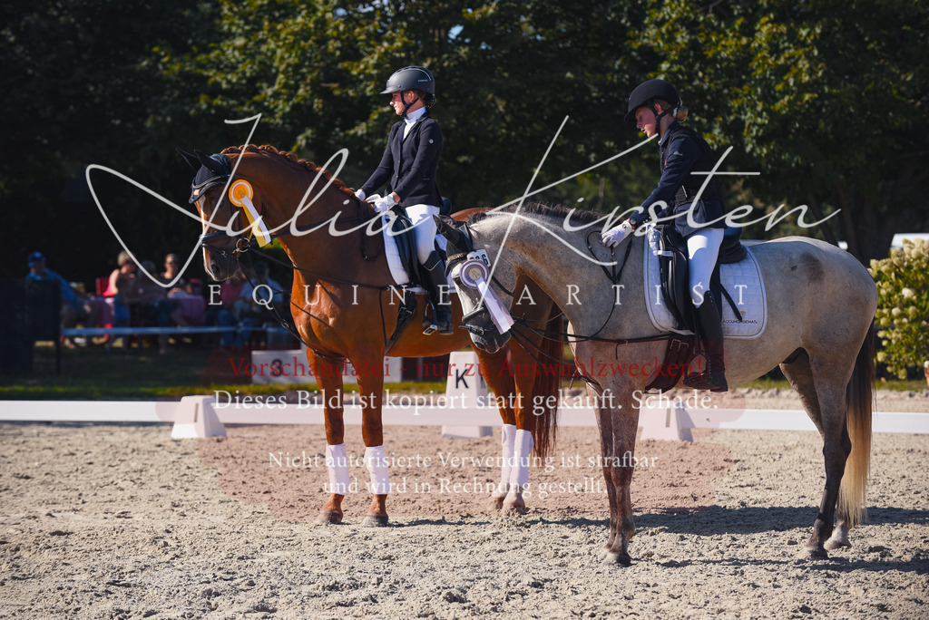 DSC_0219 | Pferde- und Turnierfotografie in Westsachsen. Pferdeportraits, Auftragszeichnungen und intuitive Kunst.