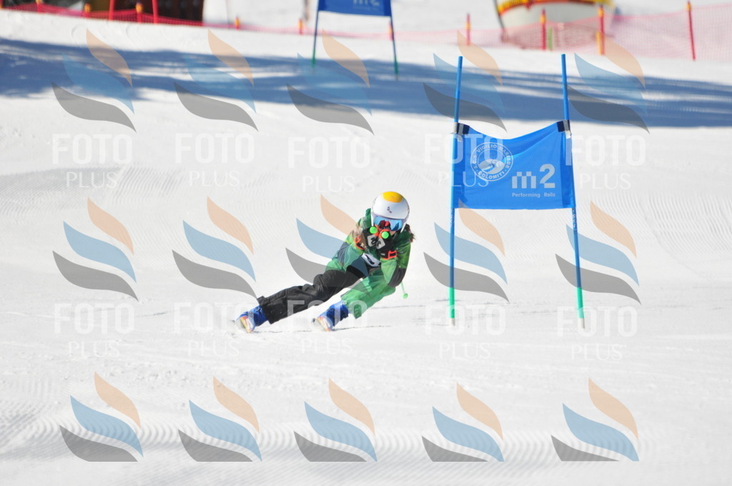 C3222 | holidayphoto