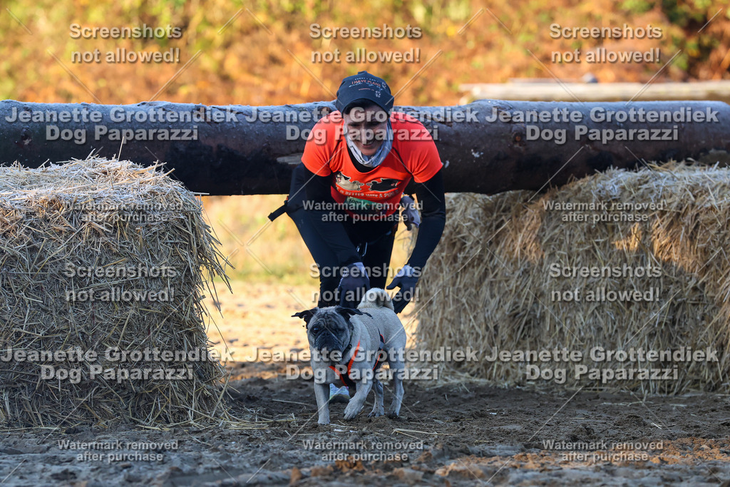 Dog Paparazzi - Strongdog 10-25-550 | Dog Paparazzi Jeanette Grottendiek Fotografie & Videografie - Realisiert mit Pictrs.com