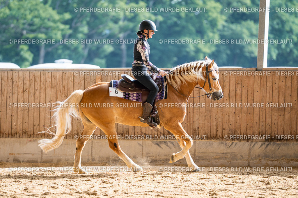 DSC08234 | Pferdegrafie