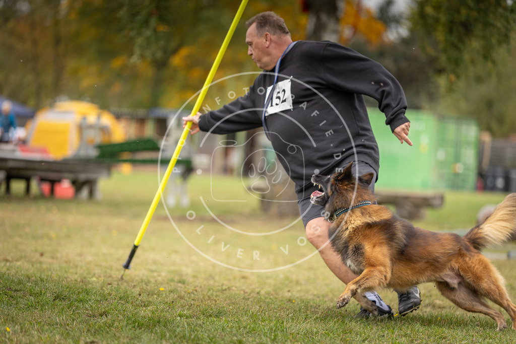 Pfotenfotografie_DV3A6184 | Hundefotografie, Tierfotograf, Pfotenfotografie, Fotoshooting Hund, Hunde Portrait, Hundesport, Hundeportraits, Heideshooting, Hunde, Sportfotograf, Hundefotograf, Turnierhundsport, THS,  - Realisiert mit Pictrs.com