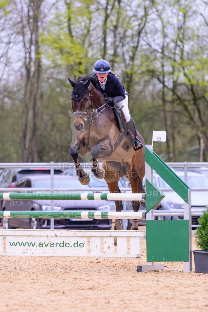 12042026-Mammendorf-Prfg42-0278 | Fokus Hufschlag Fotografie - Realisiert mit Pictrs.com
