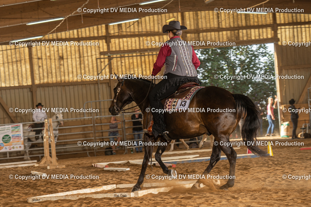 NID02743 | dv-media-shop - Realisiert mit Pictrs.com