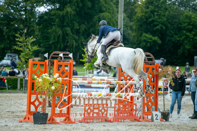 IMG_5786 | Turniersportfotografie; Pferdefotografie; Dressurfotografie