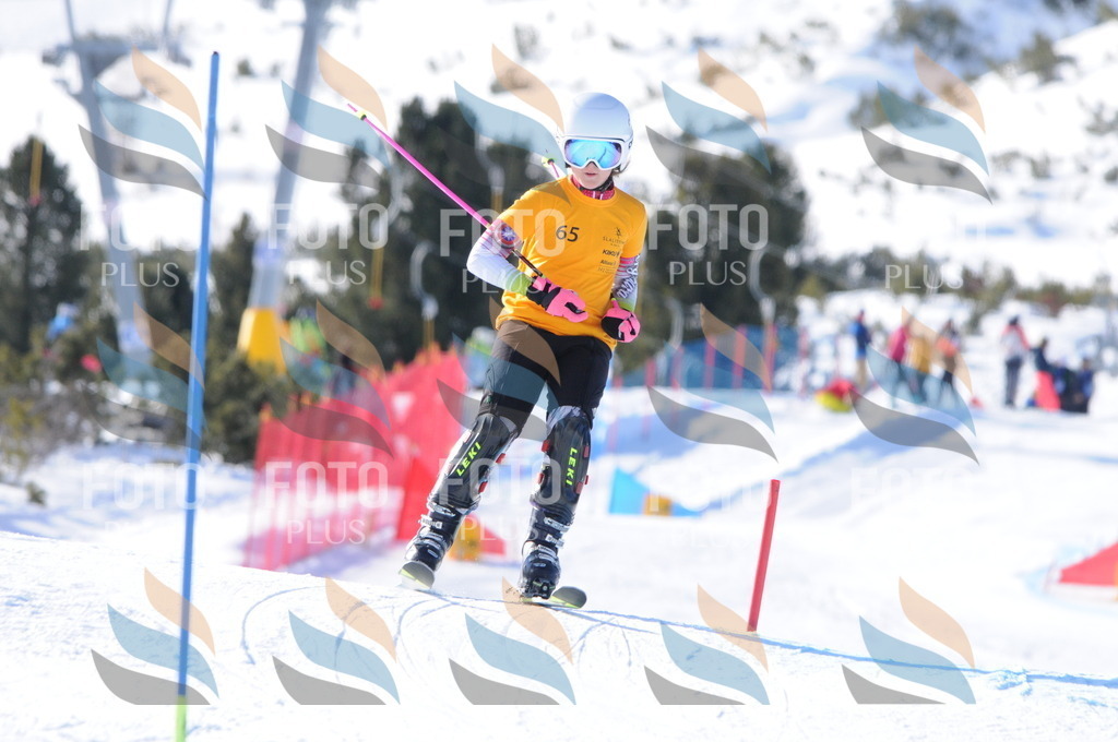 C6919 | holidayphoto
