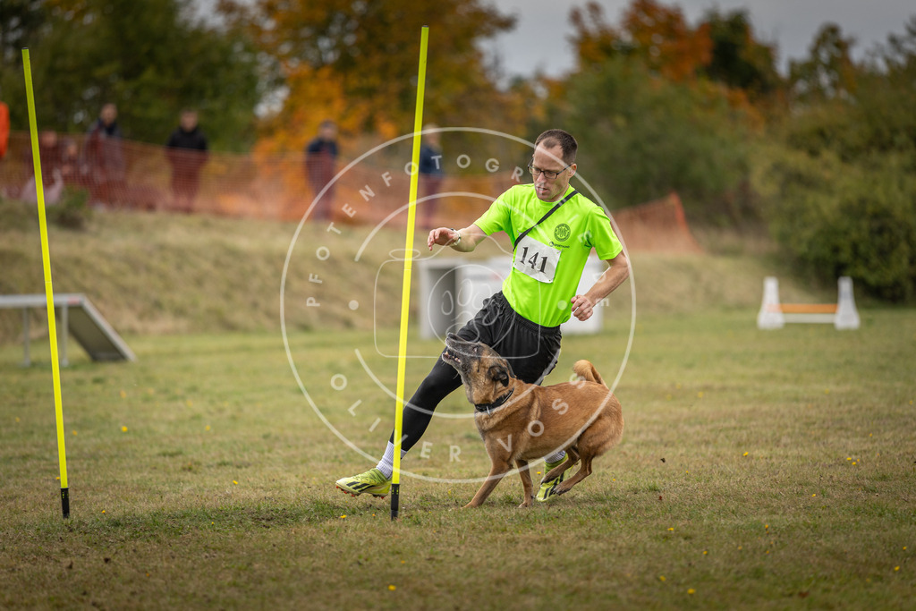 Pfotenfotografie_DV3A8122 | Hundefotografie, Tierfotograf, Pfotenfotografie, Fotoshooting Hund, Hunde Portrait, Hundesport, Hundeportraits, Heideshooting, Hunde, Sportfotograf, Hundefotograf, Turnierhundsport, THS,  - Realisiert mit Pictrs.com