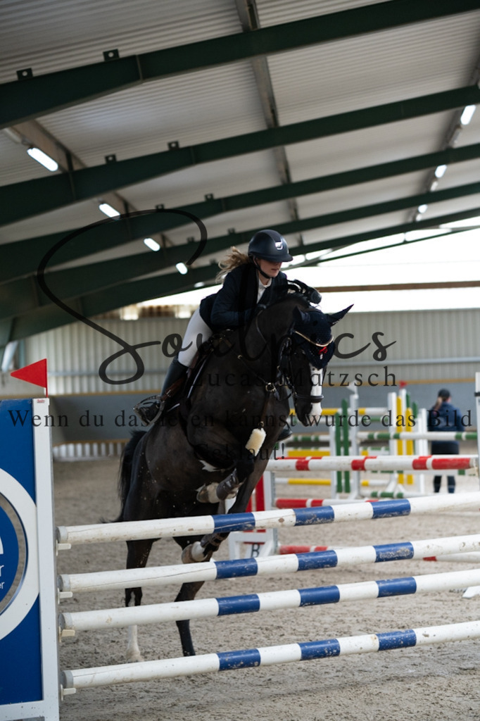 A7V08527 | Pferdefotograf