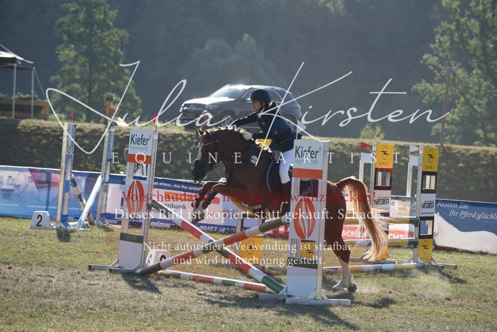 DSC_5661 | Pferde- und Turnierfotografie in Westsachsen. Pferdeportraits, Auftragszeichnungen und intuitive Kunst.