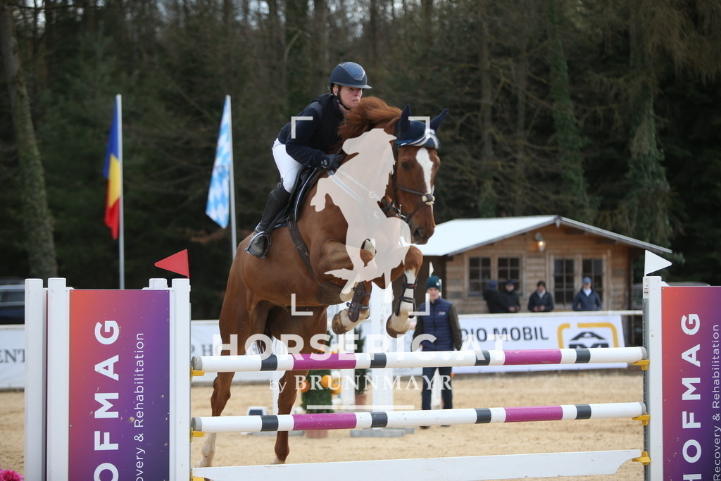 AS8V8469 | Willkommen bei Brunnmayr - Design & Fotografie – Ihrem Spezialisten für Reitturniere und Pferdeveranstaltungen in Oberösterreich, Salzburg und Bayern! Seit über 17 Jahren sind wir leidenschaftlich dabei.