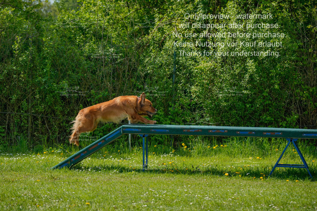 Sa_Laeufe_VK1und2_03-7 | stephaniefillaphotographie - Realisiert mit Pictrs.com