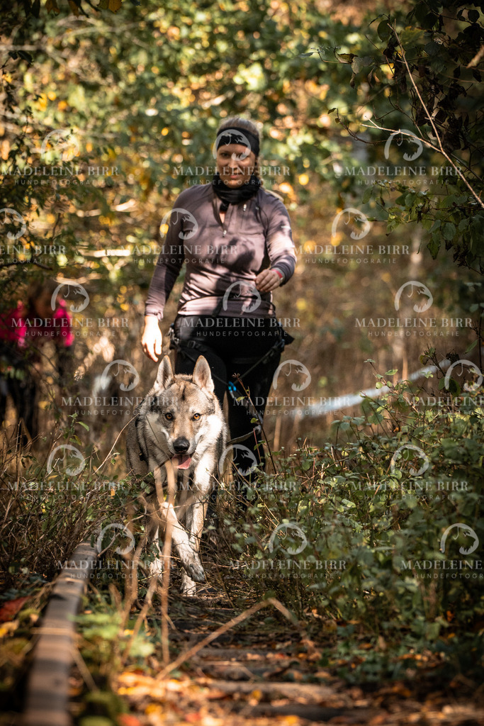 madeleinebirr.fotografie.2026.cc.hunsrueck.12-13Uhr.68 | hundefotografie-birr