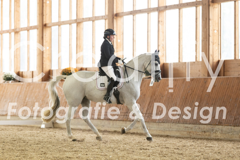 IMG_3115 | Creatify Fotografie