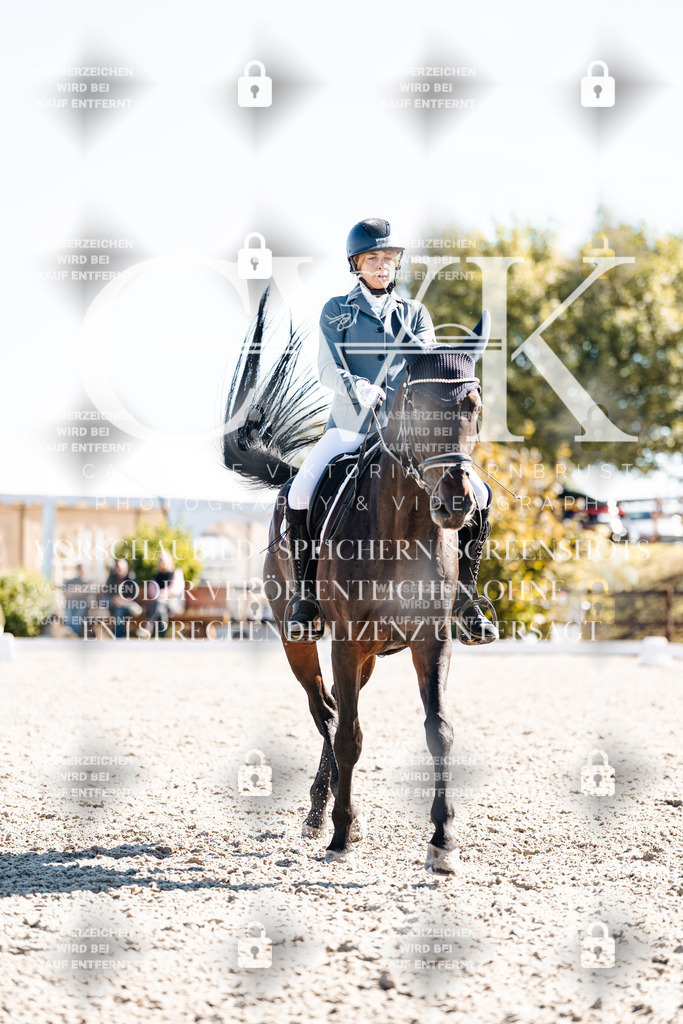 CK908839 | Turnierfotografie Pferdefotografie Trier Rheinland-Pfalz Pferdesport Reitsport Tierfotografie Sportfotografie Pferdevideo Pferdevideografie Equestrianvideography equestrianphotography  - Realisiert mit Pictrs.com