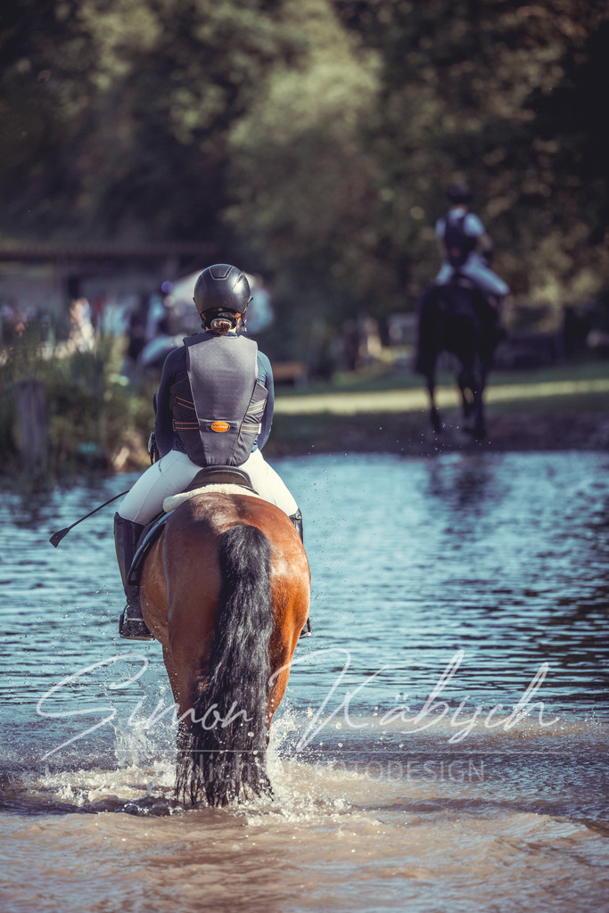 20260523-_3LI6191 | Tierfotografie Pferde, Hunde, Katzen, Haustiere.
Turnierfotografie Reitturniere, Reiten, Springreiten, Dressur in Hanau, dem Main-Kinzig-Kreis und dem Rhein-Main- Gebiet um Frankfurt