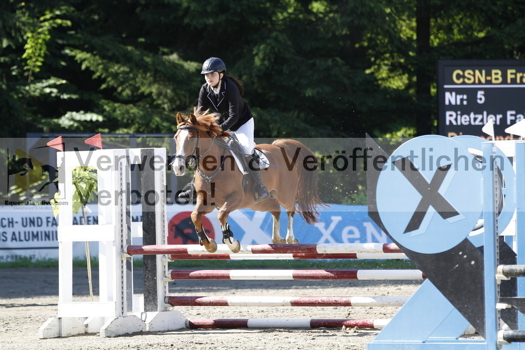 _MG_1352 | equestrian-live-com