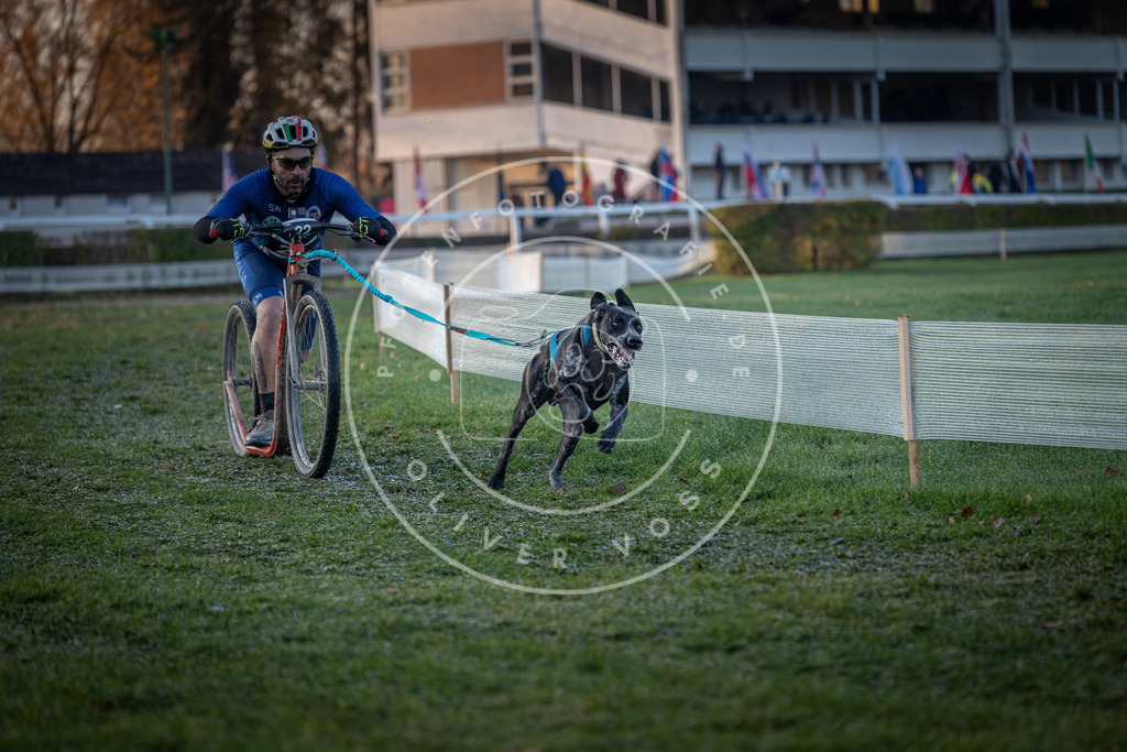CaniXpix_0L8A1286 | Hundefotografie, Tierfotograf, Pfotenfotografie, Fotoshooting Hund, Hunde Portrait, Hundesport, Hundeportraits, Heideshooting, Hunde, Sportfotograf, Hundefotograf, Turnierhundsport, THS,  - Realisiert mit Pictrs.com