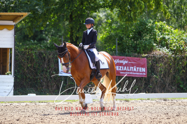 DKP42580 | Turniersportfotografie; Pferdefotografie; Dressurfotografie