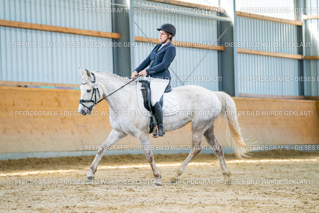 DSC06984 | Pferdegrafie