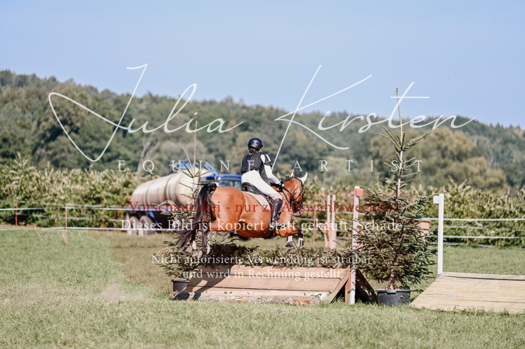 DSC_3465 | Pferde- und Turnierfotografie in Westsachsen. Pferdeportraits, Auftragszeichnungen und intuitive Kunst.