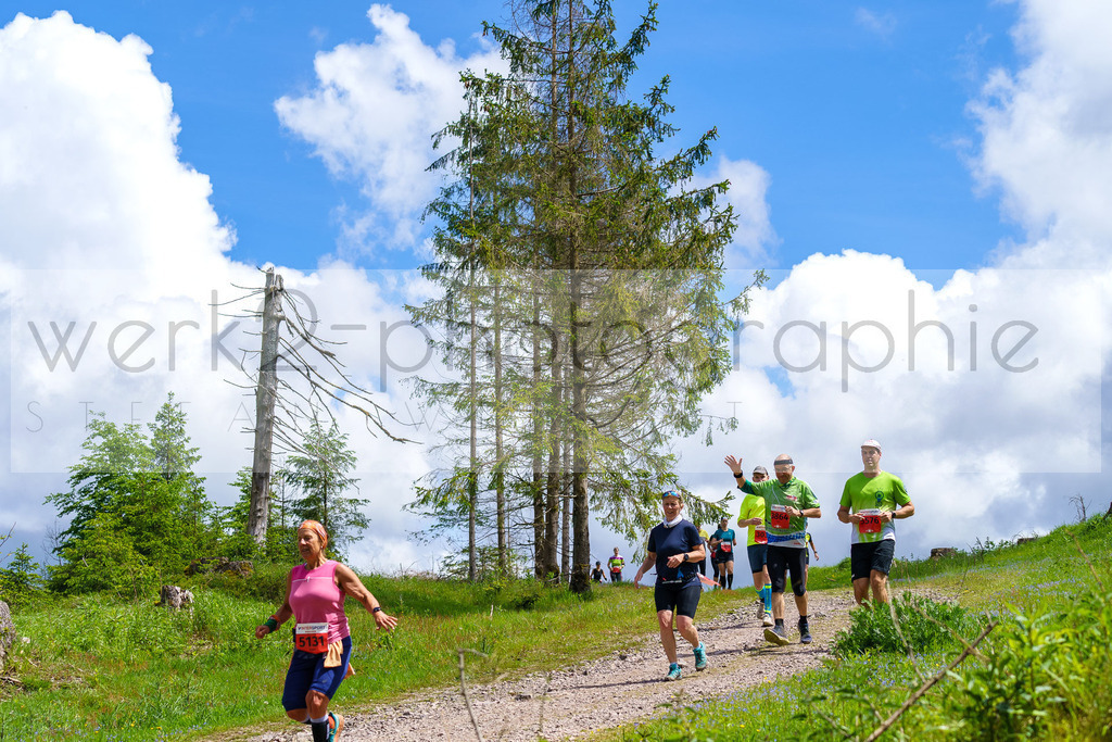 Rennsteiglauf Marathon 2024 | 25. Mai 2024 - 42,2 km von Neuhaus nach Schmiedefeld