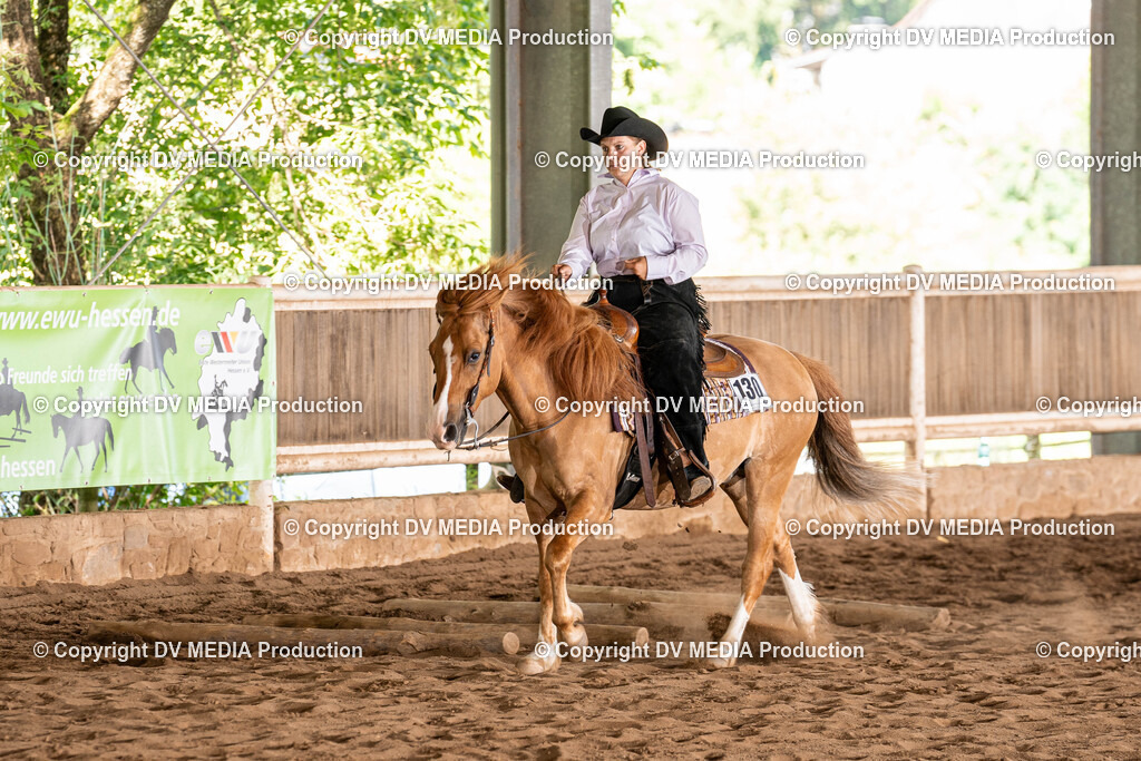 Erbach Tag 1-0988 | dv-media-shop - Realisiert mit Pictrs.com