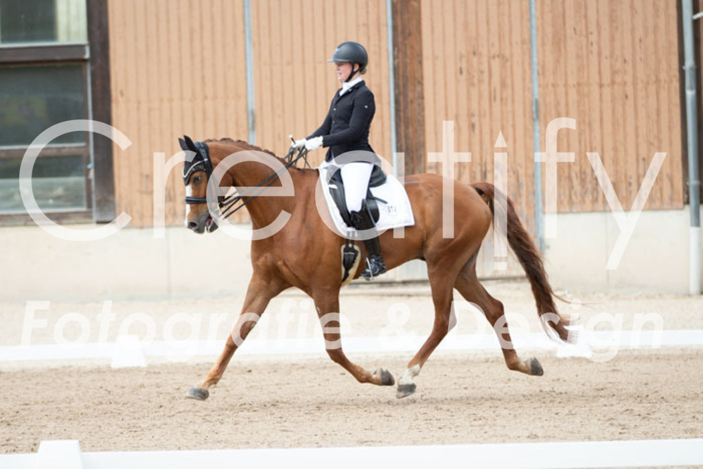 IMG_6176 | Creatify Fotografie