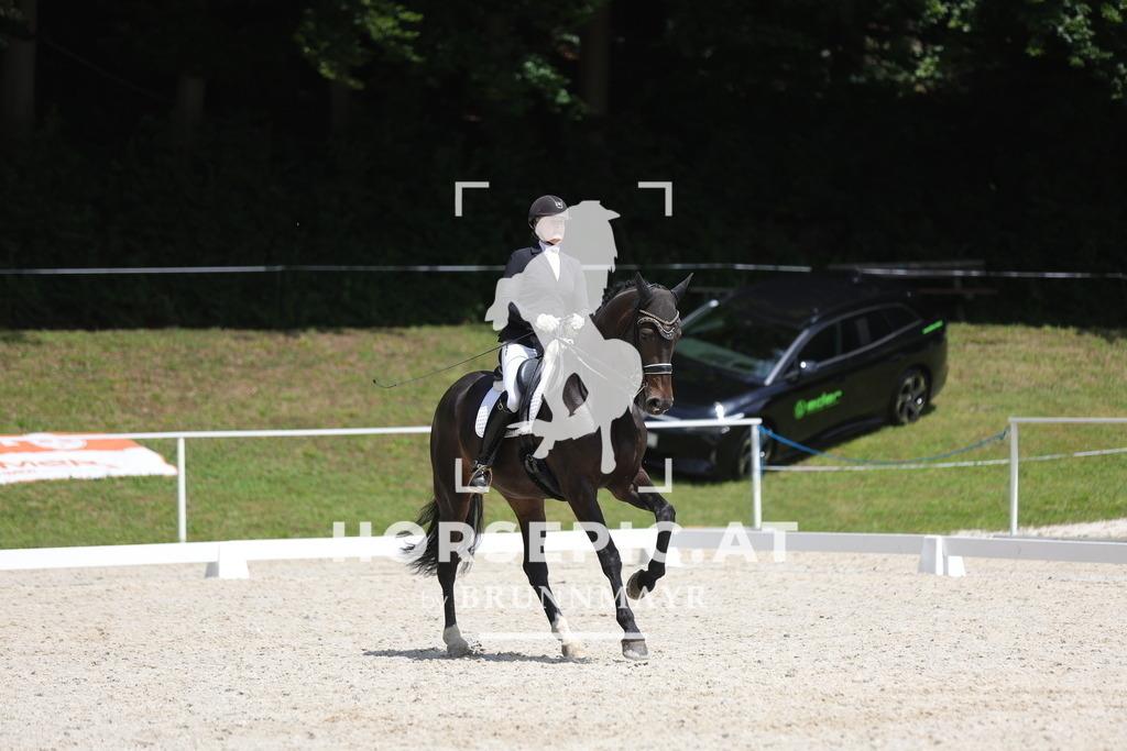 0P6A0218 | Willkommen bei Brunnmayr - Design & Fotografie – Ihrem Spezialisten für Reitturniere und Pferdeveranstaltungen in Oberösterreich, Salzburg und Bayern! Seit über 17 Jahren sind wir leidenschaftlich dabei.