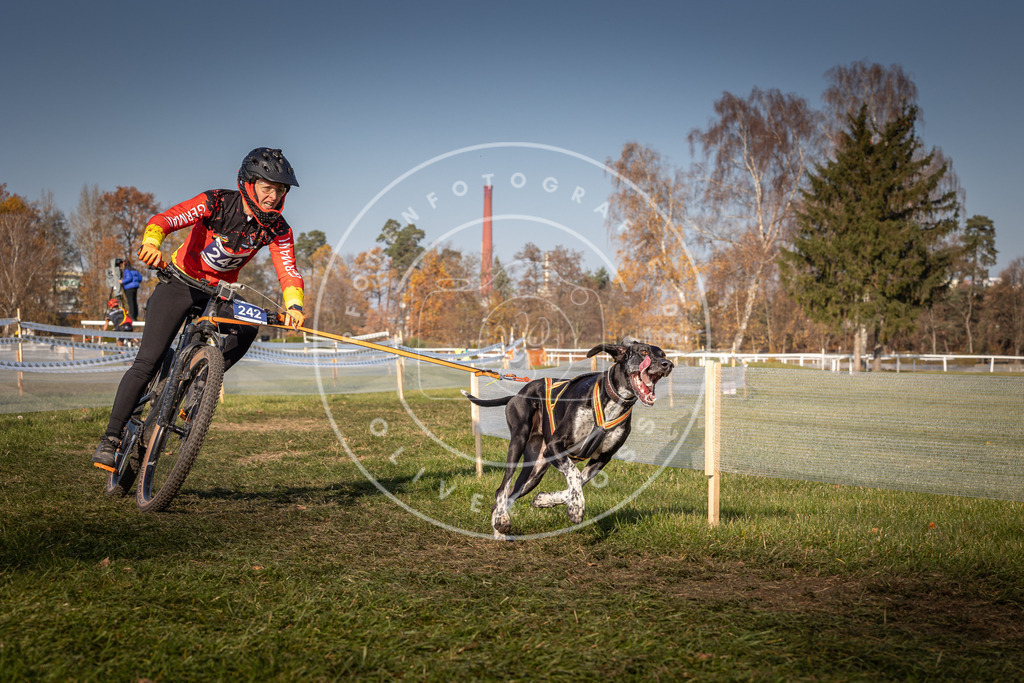 CaniXpix_0L8A6954 | Hundefotografie, Tierfotograf, Pfotenfotografie, Fotoshooting Hund, Hunde Portrait, Hundesport, Hundeportraits, Heideshooting, Hunde, Sportfotograf, Hundefotograf, Turnierhundsport, THS,  - Realisiert mit Pictrs.com