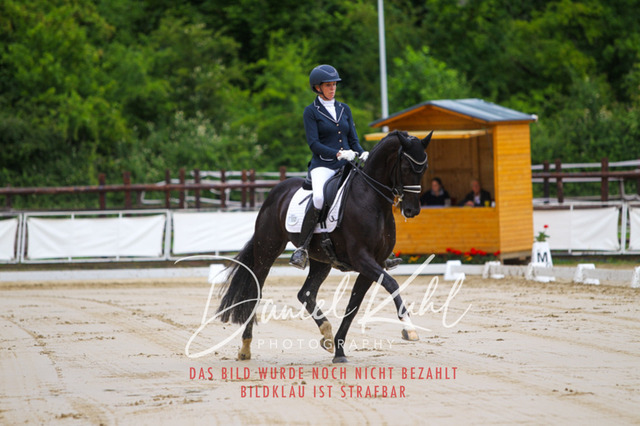 DKP47079 | Turniersportfotografie; Pferdefotografie; Dressurfotografie