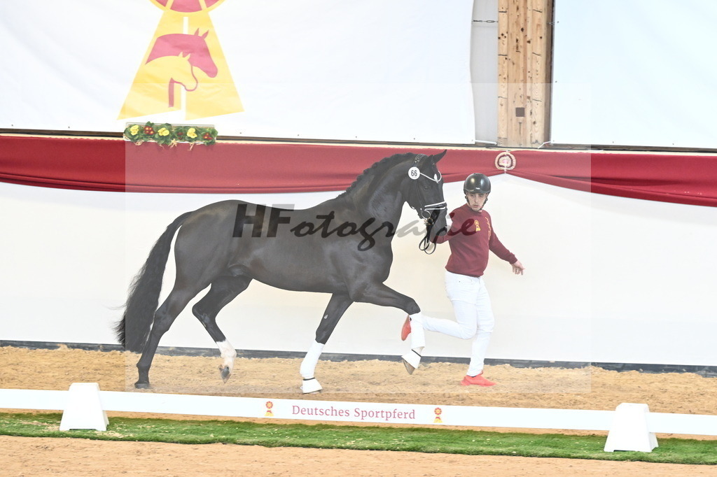 Kat.-Nr. 66 v. Taurus_Beckmann_2240865 | hf-fotografie - Realisiert mit Pictrs.com