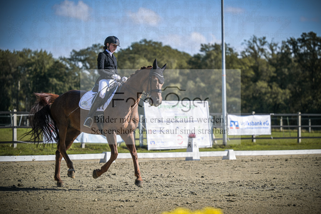 DOS_3067 | Entdecke hochwertige Reitturnierfotos von Foto Oger. Professionell, emotional und authentisch – jetzt Lieblingsmomente im Shop bestellen.Deutschlandweite Turnierfotografie. - Realisiert mit Pictrs.com