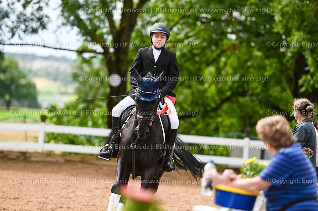 20230716_10-1_Reiter-WB Schritt - Trab - Galopp_0278 | equistock