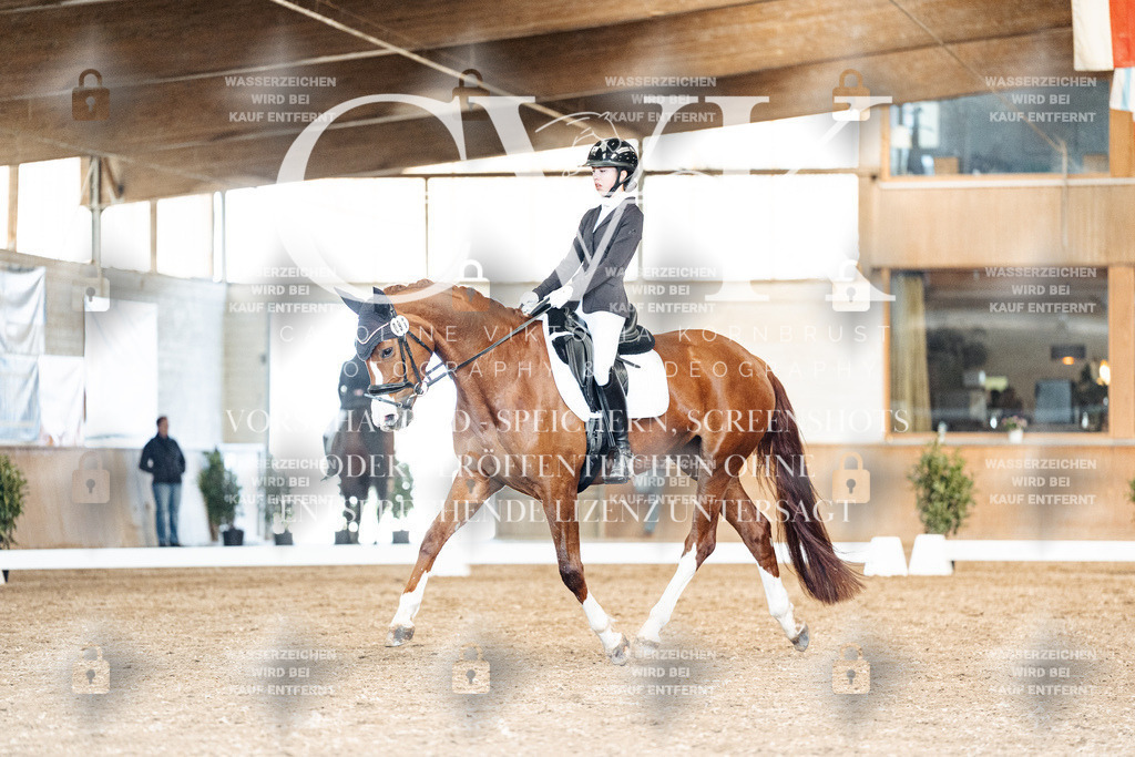CK901267 | Turnierfotografie Pferdefotografie Trier Rheinland-Pfalz Pferdesport Reitsport Tierfotografie Sportfotografie Pferdevideo Pferdevideografie Equestrianvideography equestrianphotography  - Realisiert mit Pictrs.com