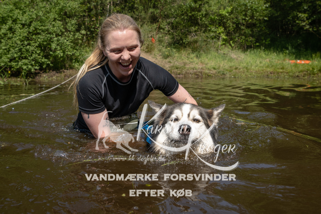 1059DKK991836 | kk-dogfotos