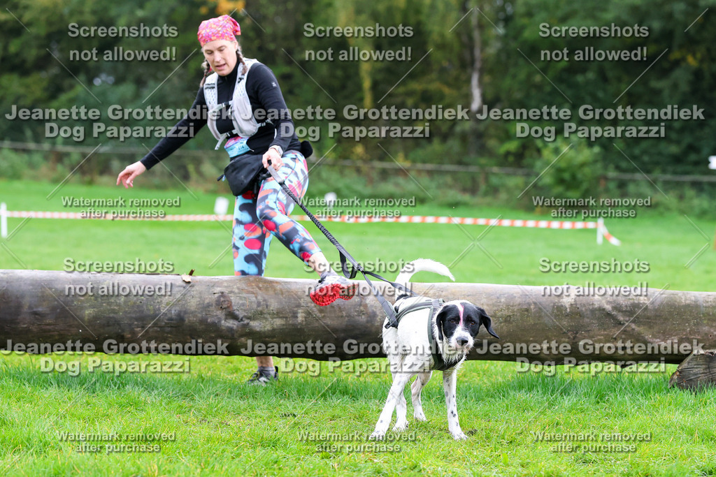 Dog Paparazzi -  SD1026-1075 | Dog Paparazzi Jeanette Grottendiek Fotografie & Videografie - Realisiert mit Pictrs.com
