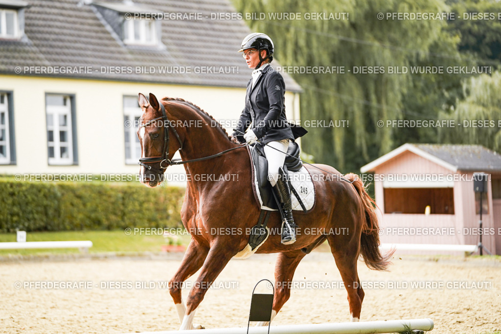 DSC01563 | Pferdegrafie