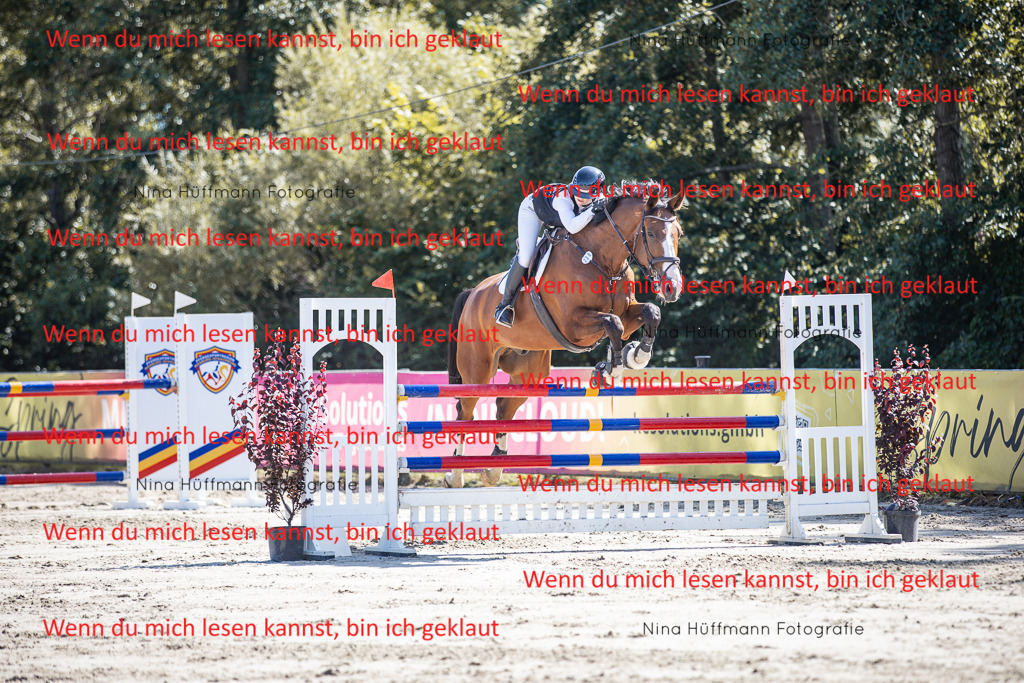 BK1A6869 | Turnierbilder Turnierfotos Nina Hüffmann Turnierfotografie Pferdefotografie Tierzeichnung Haustierzeichnung Pferdezeichnung Hundezeichnung Videograf  - Realisiert mit Pictrs.com