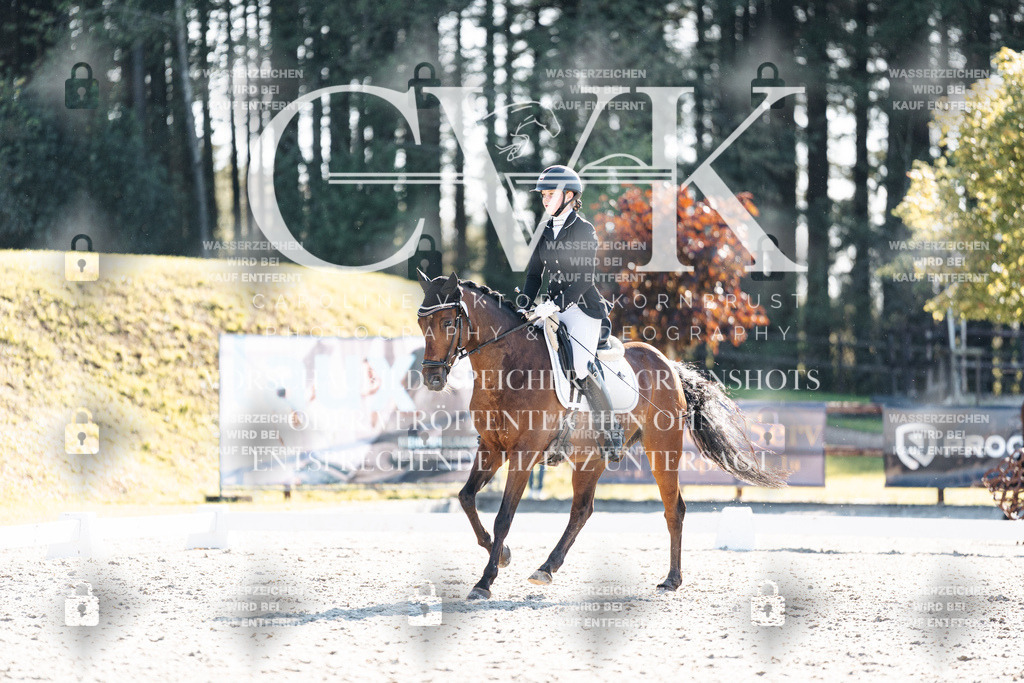 CK906270 | Turnierfotografie Pferdefotografie Trier Rheinland-Pfalz Pferdesport Reitsport Tierfotografie Sportfotografie Pferdevideo Pferdevideografie Equestrianvideography equestrianphotography  - Realisiert mit Pictrs.com