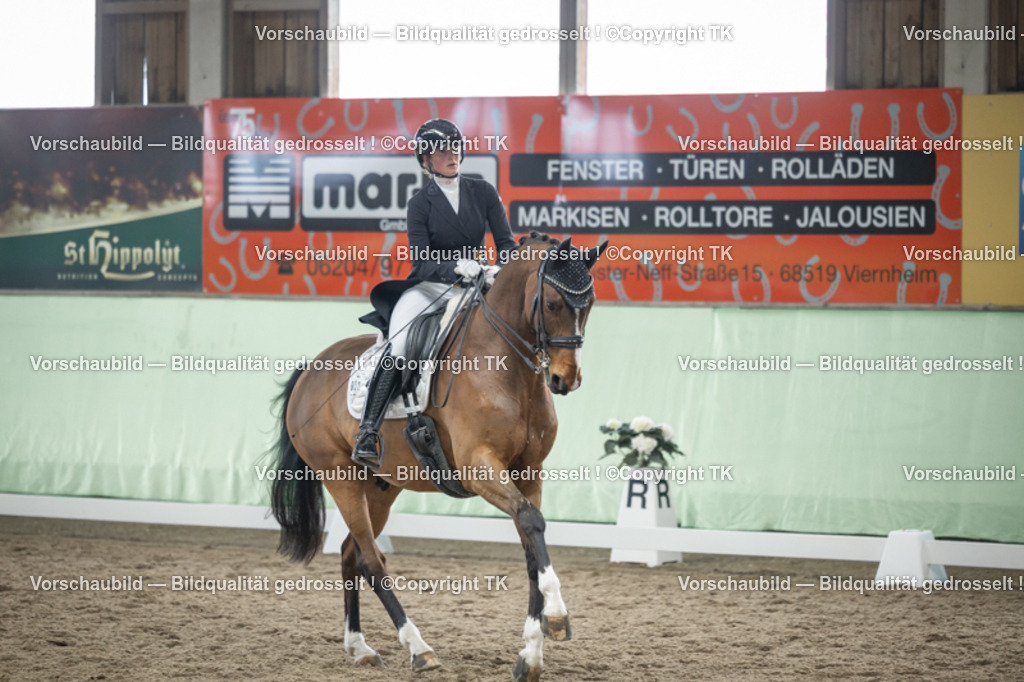 _D5A6234 | Emotionale Pferde- & People-Fotografie rund um Heidelberg, Leimen & Umgebung. Natürliche Fotos von Pferd, Mensch & Familie. Jetzt Termin sichern!