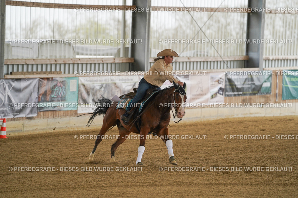 DSC07080 | Pferdegrafie